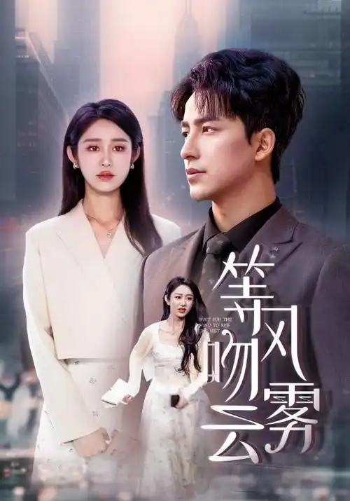 绝命毒师 电视剧封面